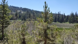 The Rubicon Trail - Waypoint 30: Lily Lake