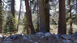 The Rubicon Trail - Waypoint 31: McKinney Lake