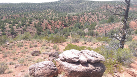 Oak Creek Homestead - Waypoint 7: Big rock