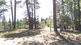 Jerome Road - Waypoint 8: FR 6345 Intersection