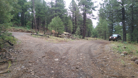 Muddy Rocky Road - Waypoint 1: 231
