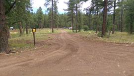 Fry Canyon Trail - Waypoint 8: West Camping area
