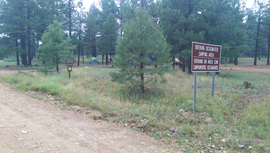 Fry Canyon Trail - Waypoint 7: East Camping area
