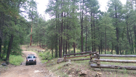 Fry Canyon Trail - Waypoint 5: Woody Wash