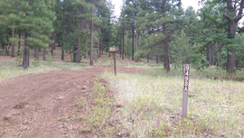Fry Canyon Trail - Waypoint 3: 9498A East Intersection