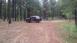 Fry Lake Trail - Waypoint 5: 536C Intersection