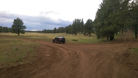 Fry Lake Trail - Waypoint 1: 536 & 535 Intersection