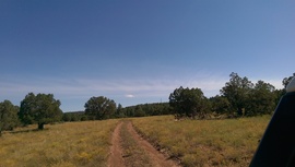 Schnebly Hill Road - Waypoint 13: 9499F Intersection