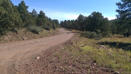 Schnebly Hill Road - Waypoint 11: 153A East intersection