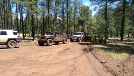Fernow and Tram Tanks Trail - Waypoint 7: 538D Intersection