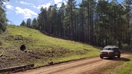 Fernow and Tram Tanks Trail - Waypoint 5: Power Lines