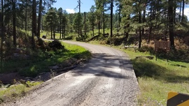 Fernow and Tram Tanks Trail - Waypoint 1: 231 Intersection