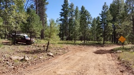 Turkey Butte Lookout Loop - Waypoint 7: FR 538 South Intersection