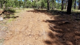 Turkey Butte Lookout Loop - Waypoint 6: Rough Hill