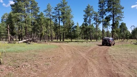 Turkey Butte Lookout Loop - Waypoint 5: FR 6233 Intersection