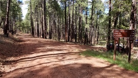 Turkey Butte Lookout Loop - Waypoint 1: FR 538 North Intersection
