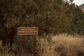 FS152 - Dry Creek Road - Waypoint 12: Brins Mesa Trail
