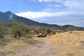 Charouleau Gap / FR# 736 - Waypoint 14: Dispersed Camp Spot