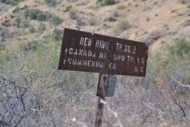 Charouleau Gap / FR# 736 - Waypoint 19: Red Ridge Trailhead