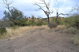 Charouleau Gap / FR# 736 - Waypoint 21: Mine Road
