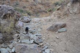 Charouleau Gap / FR# 736 - Waypoint 29: Mine Access Road and Difficult Deep "V" Hill Climb