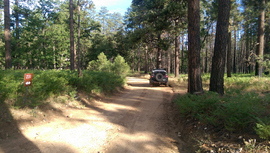 East Pocket Road - Waypoint 31: 9019M Camping Spur Intersection