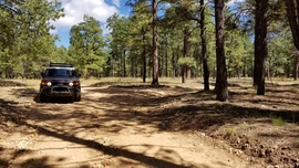 East Pocket Road - Waypoint 27: Camping Spur Intersection