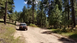 East Pocket Road - Waypoint 24: 9012R Camping Spur Intersection
