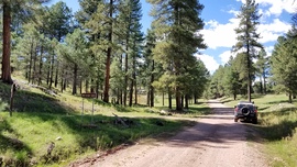 East Pocket Road - Waypoint 18: Fernow Cabin Intersection