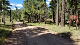East Pocket Road - Waypoint 16: Fernow and Tram Tanks Trail Intersection