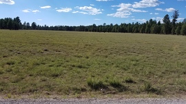 East Pocket Road - Waypoint 6: Mill Park