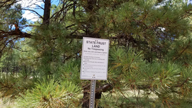 FR 535 - Waypoint 14: State Trust Land & Spur 535F