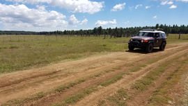FR 535 - Waypoint 9: Meadow & Fry Lake Tank