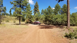 FR 535 - Waypoint 4: Camping Spur Intersection