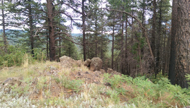 FR 535 - Waypoint 2: Switchbacks
