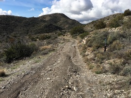 Big Maggie May Trail - Waypoint 3: Fork in Trail