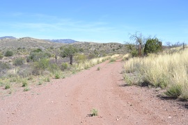Jackson Cabin/Muleshoe Ranch Road FR #691, Arizona - Waypoint 6: El Paso Gas Line Closed to Motorized Use