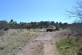 Jackson Cabin/Muleshoe Ranch Road FR #691, Arizona - Waypoint 7: Bass Canyon - Cabin/Riparian Area 15.0