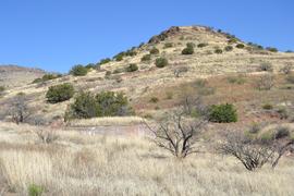 Jackson Cabin/Muleshoe Ranch Road FR #691, Arizona - Waypoint 11: Pride Ranch Cabin Site & Windmill