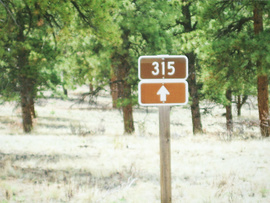 Fourmile Area: Lenhardy Cutoff - Waypoint 5: Shields Gulch