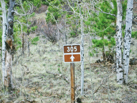 Fourmile Area: Lenhardy Cutoff - Waypoint 7: McGee Gulch