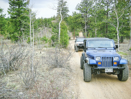 Fourmile Area: Lenhardy Cutoff - Waypoint 8: Seasonal Gate