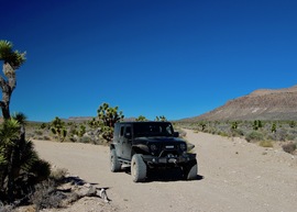 Badger Valley Loop Nevada - Waypoint 10: Stay on Main Road