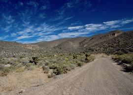 Badger Valley Loop Nevada - Waypoint 4: Take Road to the East