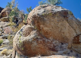 Badger Valley Loop Nevada - Waypoint 7: Shooting Gallery Petroglyphs