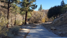 3N16 - Holcomb Valley - Waypoint 4: Continue Straight at 3N93 (Holcomb Creek, Pacific Crest Trail, Water Crossing)