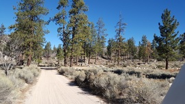 3N16 - Holcomb Valley - Waypoint 6: Stay North at 3N97 Intersection