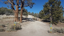 3N16 - Holcomb Valley - Waypoint 10: Continue Straight at 3N17 Intersection (White Mountain)