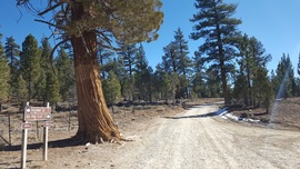 3N16 - Holcomb Valley - Waypoint 12: Continue Straight at 3N12 Intersection (Delamar Mountain)