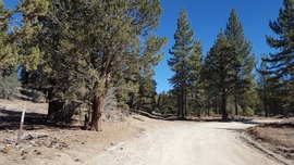 3N16 - Holcomb Valley - Waypoint 14: Go Right at 3N10 Intersection (John Bull)